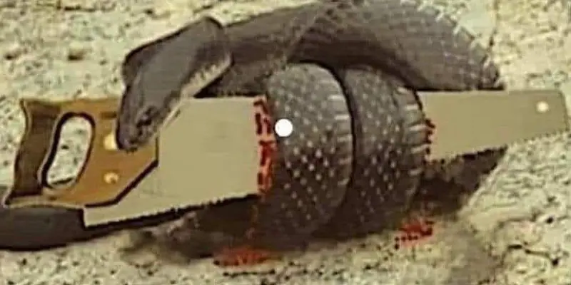 *Bonus Newsletter* Daily Encouragement & Specials- April 30th, 2022