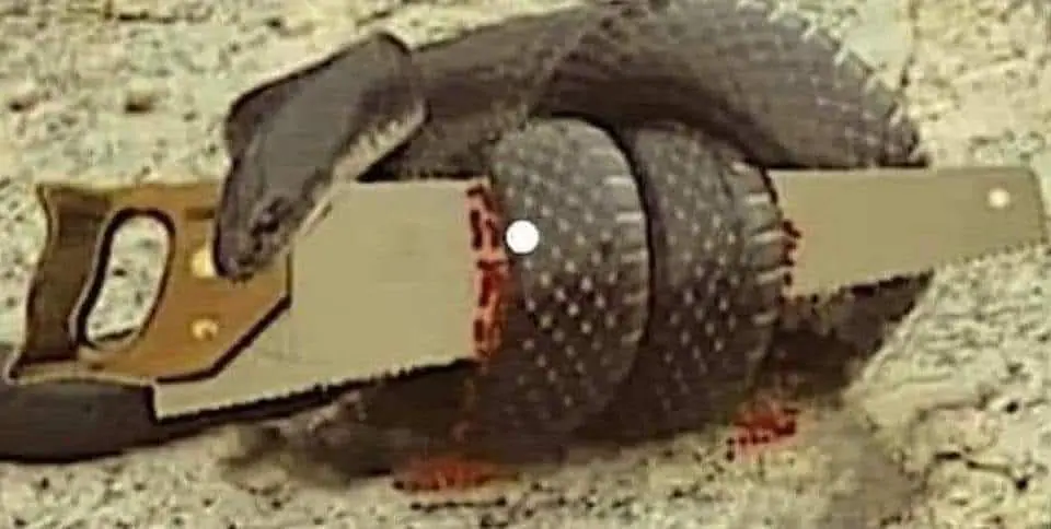 *Bonus Newsletter* Daily Encouragement & Specials- April 30th, 2022