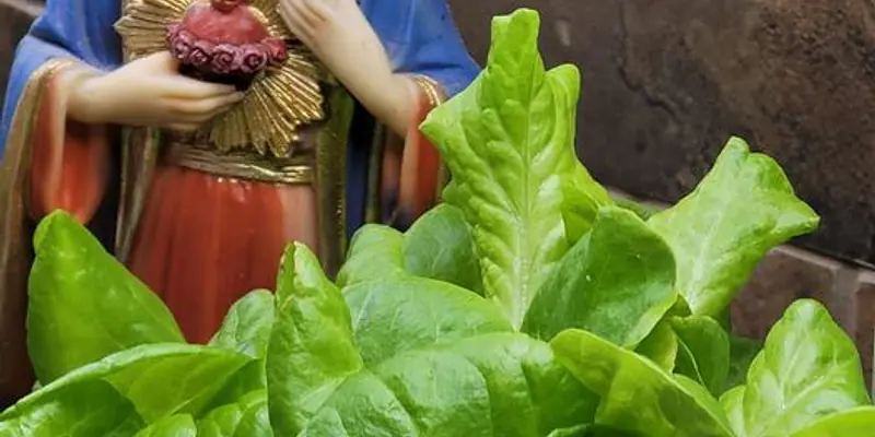 Daily Encouragement & Specials- April 26th, 2022