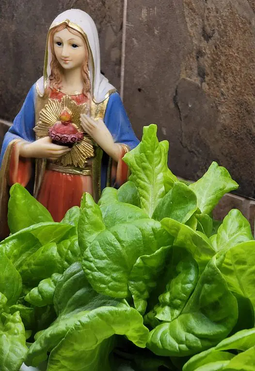 Daily Encouragement & Specials- April 26th, 2022