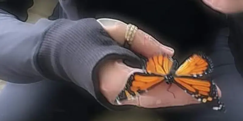 Daily Encouragement & Specials- July 21st, 2022