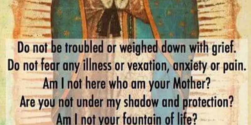 Daily Encouragement & Specials- Nothing should frighten you!