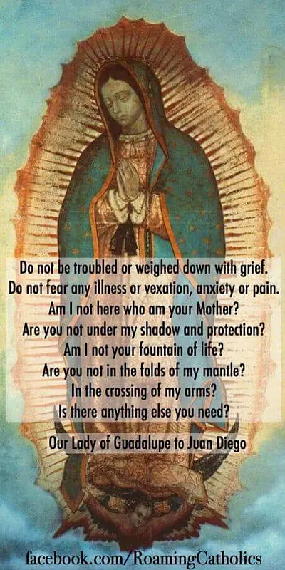 Daily Encouragement & Specials- Nothing should frighten you!