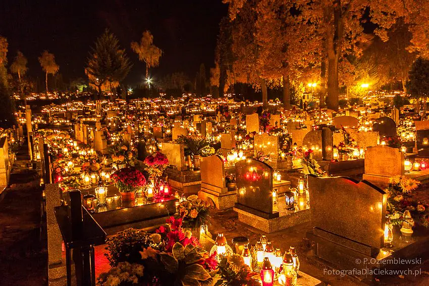 Daily Encouragement & Specials- The Days of The Dead