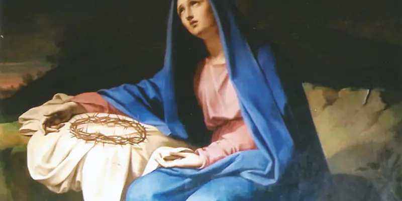 Daily Encouragement & Specials- Sorrow and love are intimately woven