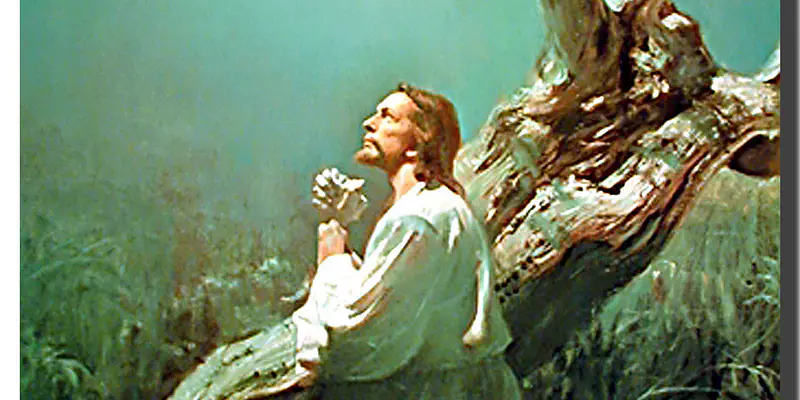 Daily Encouragement & Specials- Even Jesus felt overwhelmed!