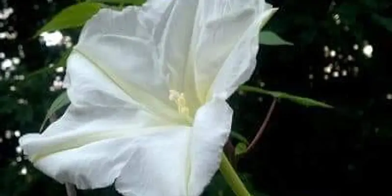 Our Blessed Mother reflects her son!