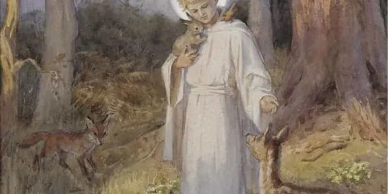 Daily Encouragement & Specials- Advice from Grandma McNamara