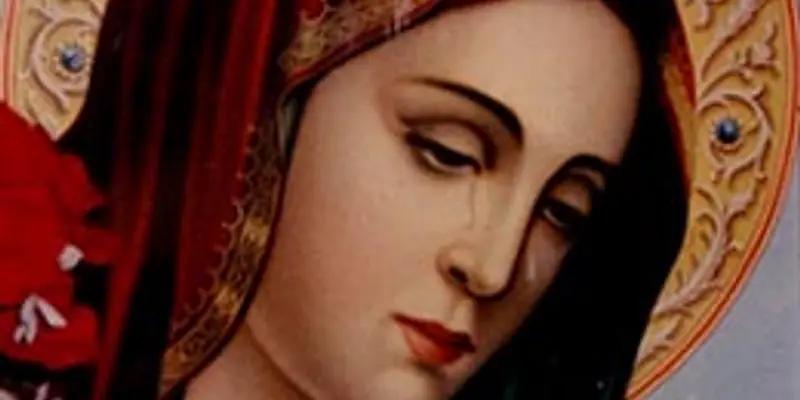 Daily Encouragement & Specials-  A sea of tears