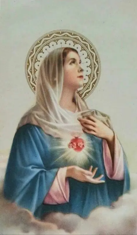 Daily Encouragement & Specials- satan knows our weak spots  & will worm his way in