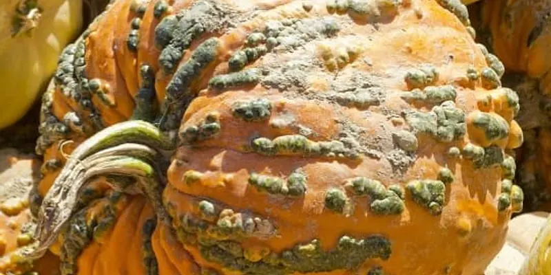 Daily Encouragement & Specials- Keep Your Distance!