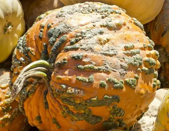 Daily Encouragement & Specials- Keep Your Distance!