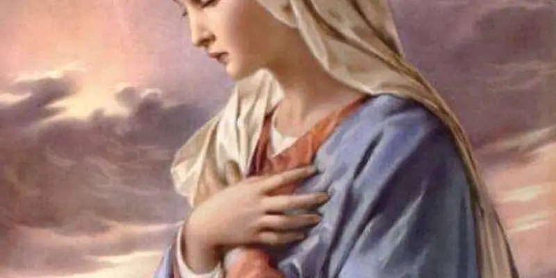 Daily Encouragement & Specials- Words have consequences