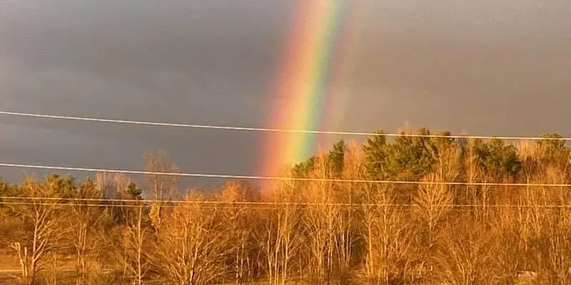 Daily Encouragement & Specials- Visible reminders of God's nearness