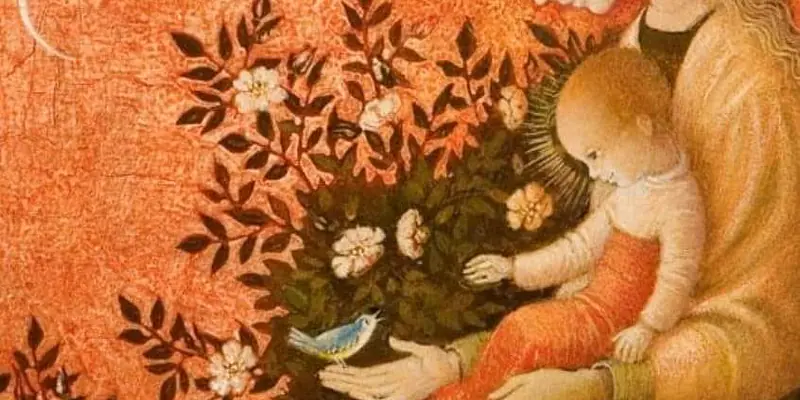 Daily Encouragement & Specials- What others say about you is none of your business