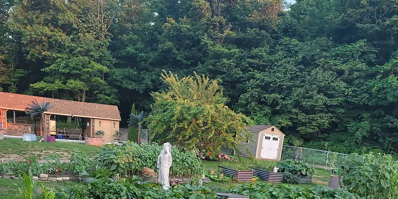 Daily Encouragement & Specials- This is where I pray for you!