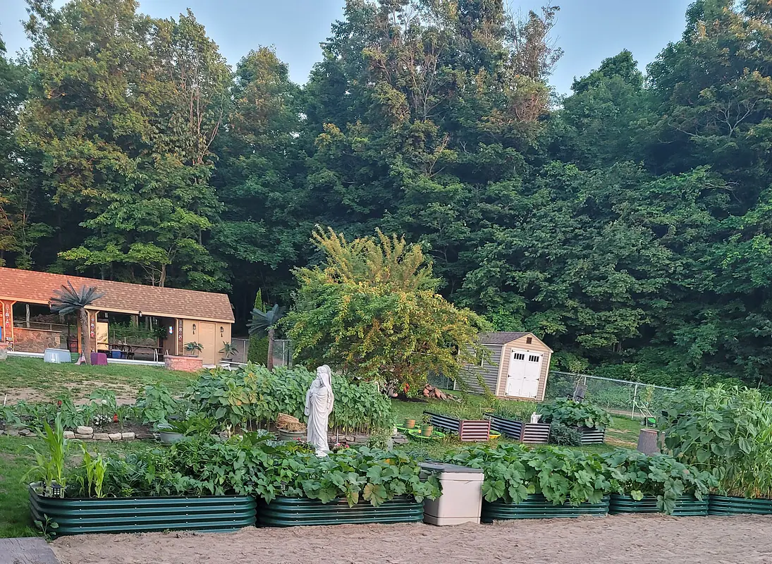 Daily Encouragement & Specials- This is where I pray for you!