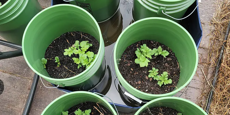 Daily Encouragement & Special- May 18th, 2022