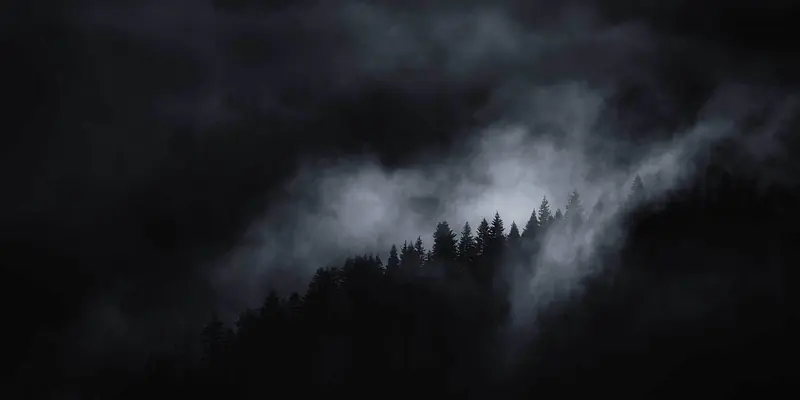 Daily Encouragement & Specials- A FREE book & FREE food to prepare you!