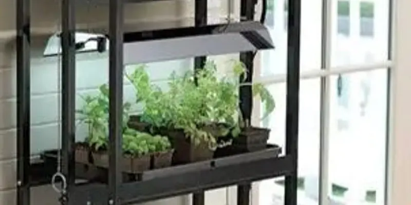 The Indoor Homesteader - Chapter 1 Make a Plan For Your Indoor Garden