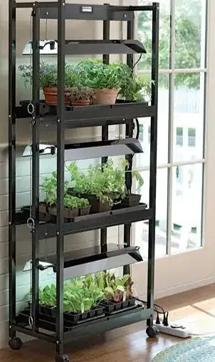 The Indoor Homesteader - Chapter 1 Make a Plan For Your Indoor Garden