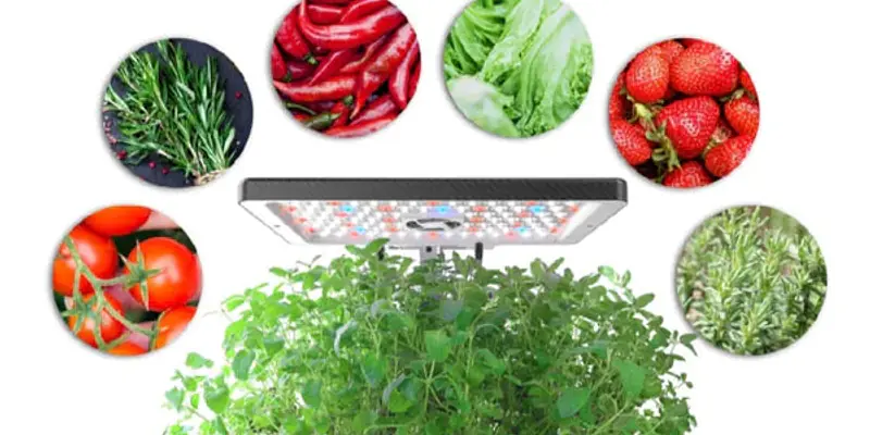 Daily Encouragement & Specials- Giving Away Hydroponics Gardens