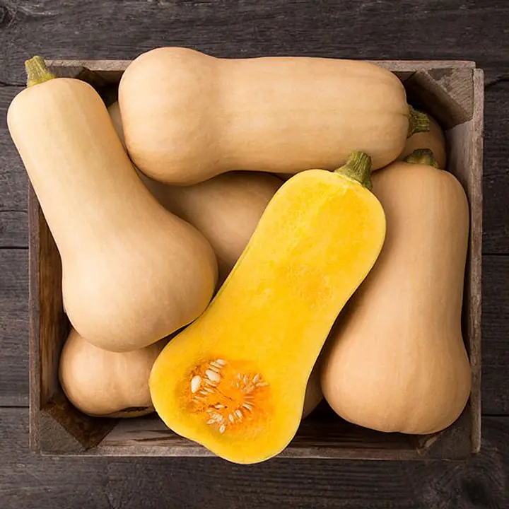WALTHAM BUTTERNUT SQUASH SURVIVAL SEED VAULT with RECIPES- Pediatric Fundraiser - Master